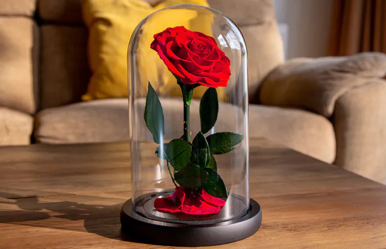 ["Eternal Roses", "Eternal Roses", "Single Rose Box", "Box of 7 Roses", "Single Rose Drawer", "Single Rose in Glass Dome", "", "", "", "", ""]